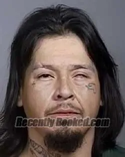 Booking photo from Manatee County, Florida