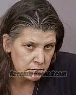 Booking photo from Manatee County, Florida