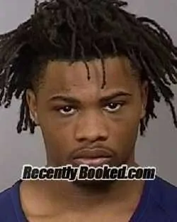 Booking photo from Manatee County, Florida