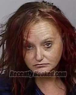 Booking photo from Manatee County, Florida