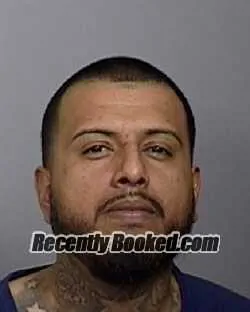 Booking photo from Manatee County, Florida