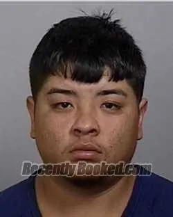 Booking photo from Manatee County, Florida