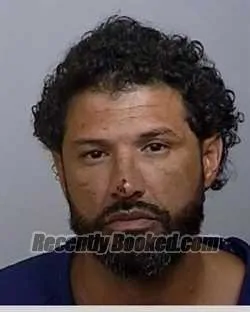 Booking photo from Manatee County, Florida