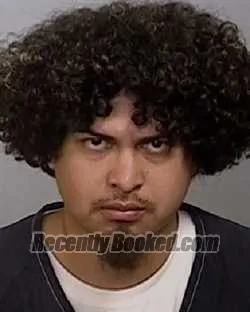 Booking photo from Manatee County, Florida