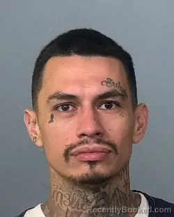 Mugshot of ADAM DANIEL ALVARADO booked in Manatee County, Florida on May 1, 2026