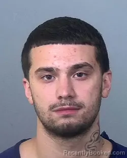 Mugshot of ANGELO ISAIAH ADKINS booked in Manatee County, Florida on March 19, 2026