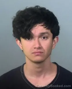 Mugshot of BAIRON GERARDO ANDINO ORTIZ booked in Manatee County, Florida on March 22, 2026