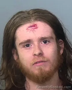 Mugshot of BRADLEY JAMES ANSPACH booked in Manatee County, Florida on March 24, 2026