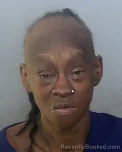 Mugshot of DEBRA ANN ADAMS