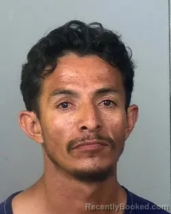 Mugshot of EDGAR ALVA booked in Manatee County, Florida on March 25, 2026