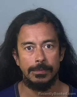 Mugshot of HENRY IVAN AMAYA