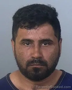Mugshot of HERIBERTO ALVARADO GOMEZ