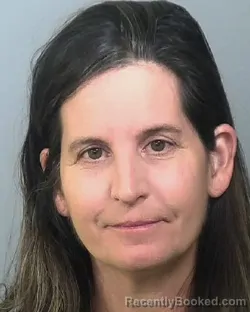 Mugshot of IRENE KONSTANTINOU AMERES booked in Manatee County, Florida on April 22, 2026