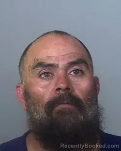 Mugshot of JOSE ALFREDO AVILA booked in Manatee County, Florida on March 21, 2026