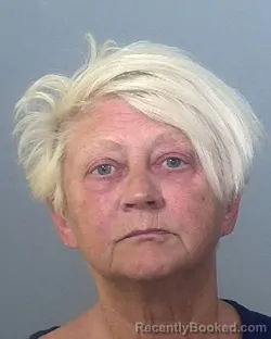 Mugshot of KATHY E AYERS