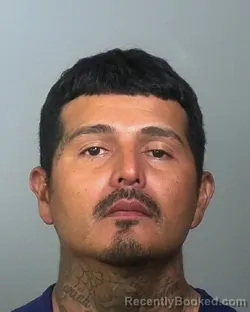 Mugshot of MOISES ANTUNES booked in Manatee County, Florida on March 31, 2026