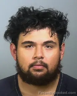 Booking photo from Manatee County, Florida