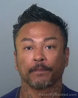 Mugshot of SOMVERT AT booked in Manatee County, Florida on March 27, 2026