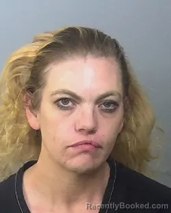 Mugshot of ASHLEY LENEE BLANEY booked in Manatee County, Florida on March 19, 2026