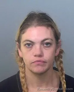 Mugshot of ASHLEY LENEE BLANEY booked in Manatee County, Florida on March 20, 2026