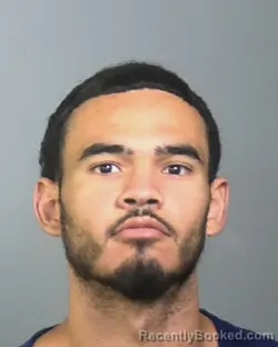 Mugshot of DEREK ALEXANDER BURGOS booked in Manatee County, Florida on April 2, 2026