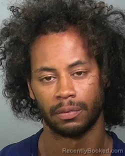 Mugshot of DWAYNE BELL booked in Manatee County, Florida on March 19, 2026