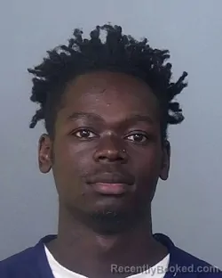 Mugshot of ELDRED LEON BROWN booked in Manatee County, Florida on March 27, 2026