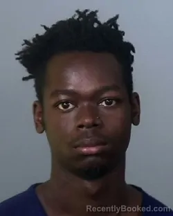 Mugshot of ELDRED LEON BROWN booked in Manatee County, Florida on April 3, 2026