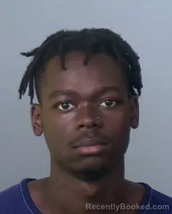 Mugshot of ELDRED LEON BROWN booked in Manatee County, Florida on May 4, 2026