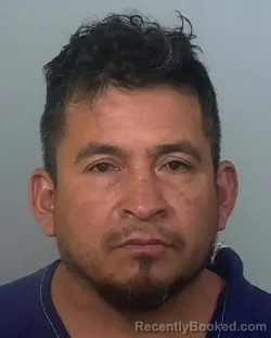 Mugshot of FERNANDO BOCANEGRA-SANCHEZ