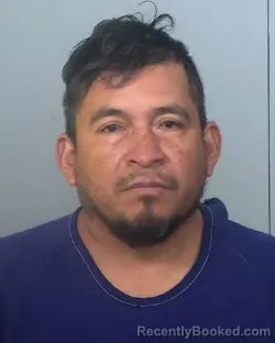 Mugshot of FERNANDO BOCANEGRA-SANCHEZ