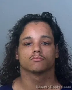 Mugshot of HENRY J BAEZ booked in Manatee County, Florida on March 25, 2026