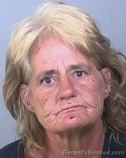 Mugshot of JODI LYNN BAKER booked in Manatee County, Florida on May 21, 2026