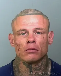 Mugshot of LEE ANTHONY BRIDGES