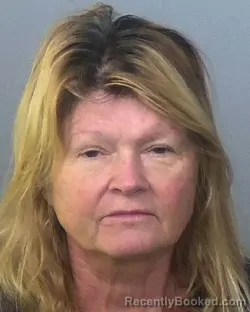 Mugshot of LISA MARIE BUZBY booked in Manatee County, Florida on April 24, 2026