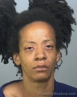 Mugshot of MELISSA N BING booked in Manatee County, Florida on March 25, 2026