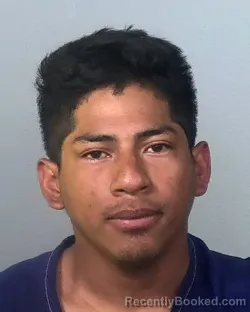 Mugshot of MARK STEWARD BENJAMIN WILLIAMS booked in Manatee County, Florida on March 22, 2026