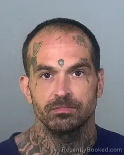 Mugshot of SCOTT ANTHONY BUCHANAN booked in Manatee County, Florida on March 19, 2026