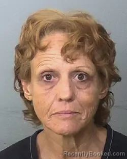 Mugshot of TAMMIE RENEE BOYETT booked in Manatee County, Florida on May 17, 2026