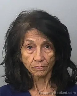 Mugshot of VANESSA BASS WILLIAMS booked in Manatee County, Florida on April 22, 2026