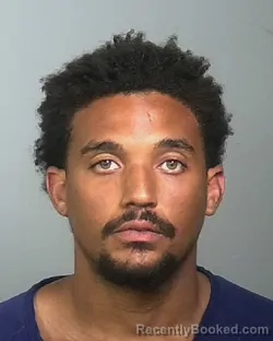 Mugshot of WILLIAM RUDOLPH BREWTON booked in Manatee County, Florida on March 27, 2026