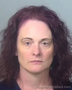 Mugshot of AMANDA JEAN COOK