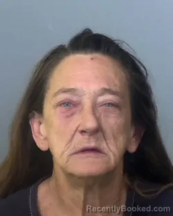 Mugshot of BARBARA GALE COX booked in Manatee County, Florida on March 18, 2026