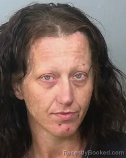 Mugshot of CATHY LEE CORNWELL booked in Manatee County, Florida on April 30, 2026
