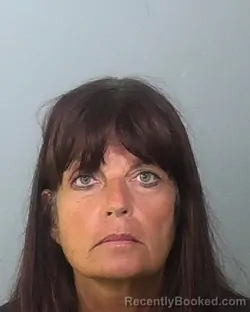 Mugshot of DIANE LYNN CALABRESE booked in Manatee County, Florida on March 31, 2026