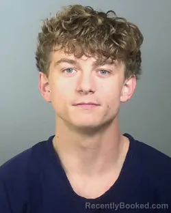 Mugshot of DAYNE T CLARKE booked in Manatee County, Florida on March 20, 2026