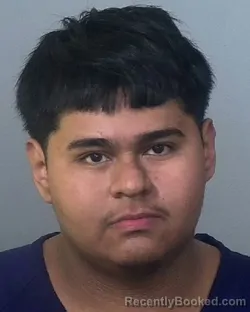 Mugshot of ERIK CRUZ-MEDINA booked in Manatee County, Florida on March 14, 2026