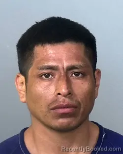 Mugshot of GAUDENCIO CANDELARIO ESCORCIA booked in Manatee County, Florida on May 1, 2026