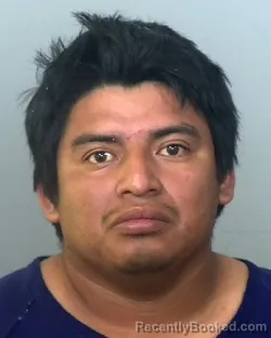 Mugshot of JUAN EMANUEL CHAPERON GRAVE booked in Manatee County, Florida on March 26, 2026