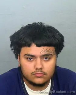 Mugshot of JADEN CHAVIANO booked in Manatee County, Florida on March 18, 2026